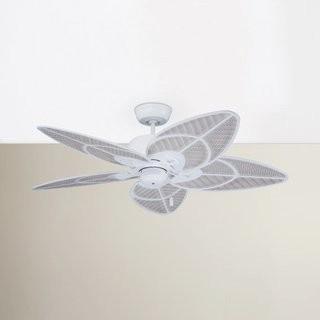 Beachcrest Home 14 Aaliyah 5-Blade Ceiling Fan (BCMH1255_23586789)