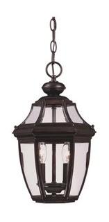 Alcott Hill Harter 2-Light Outdoor Hanging Lantern (ALTH7028_26241447)