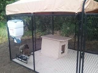 K9 Kennel Basic Yard Kennel Tile Flooring System (KNPR1036_10551145)