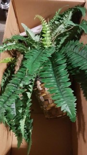 Artificial Plant 