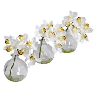 August Grove Cymbidium in Vase (AGGR6388)