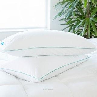 Anew Edit Memory Foam Pillow (ANEW2303_22247346)