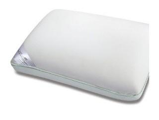 Apothecary Visco Memory foam Pillow
