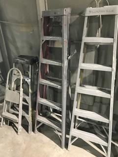 5' Aluminum Ladder