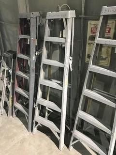 5' Aluminum Ladder