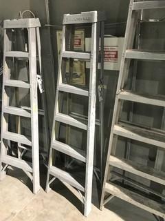 5' Aluminum Ladder