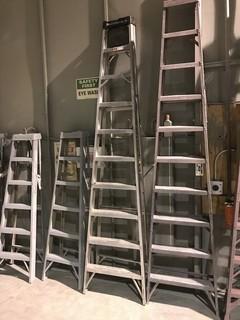 10' Aluminum Ladder