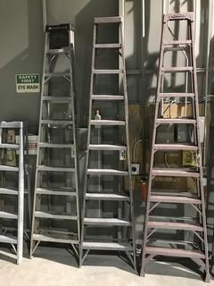 10' Aluminum Ladder