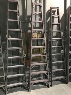 10' Aluminum Ladder