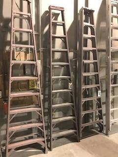 10' Aluminum Ladder