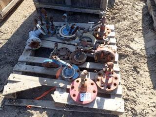 Lot of Asst. Hydro Test Flanges. **LOCATED IN STETTLER CENTER OF EAST YARD**