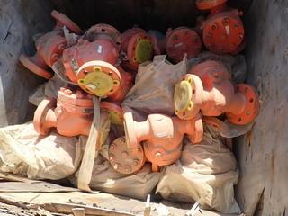 Crate of Approx. (31) 2" 600 Check Valves. **LOCATED IN STETTLER CENTER OF EAST YARD**