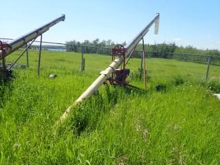 S/A Grain Auger c/w Gas Engine. 