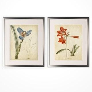 Alcott Hill 'Vintage Botanical Sketch I' 2 Piece Framed Acrylic Painting Print Set (ALTH4587_28785943)