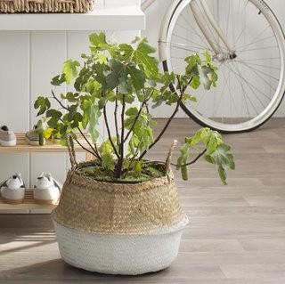 Mercury Row Seagrass Basket with Handles (MCRW6583_24744700_24744704)