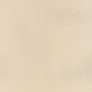 Winston Porter Weigle 32.7' L x 20.5 W Solid Wallpaper Roll (WNSP5764)