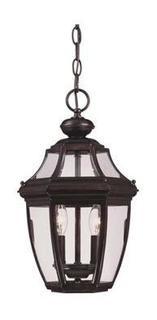 Alcott Hill Harter 2-Light Outdoor Hanging Lantern (ALTH7028_26241447)