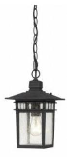 Nuvo Lighting Hanging Lantern Black/Ckear 60-4956