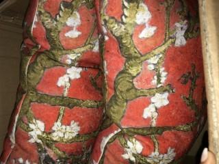 Floral Rectangle Throw Pillows 2 pcs