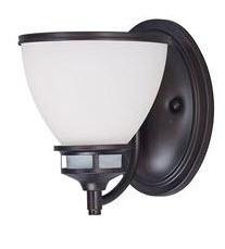 Novus 1-Light Wall Sconce