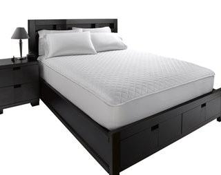 Alwyn Home 1 Polyester Mattress Pad (ANEW2565_23150194) - Twin XL