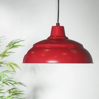 Beachcrest Home Stetson 1-Light Pendant (BCMH1566_23592045_23592041)