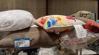 Lot of Assorted Pillows