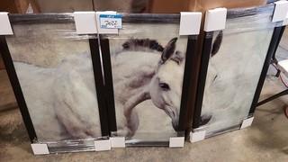 Horse Print - 3 pcs  - 19" x35" each panel