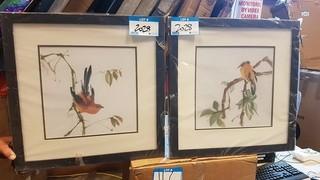 Pair of Birds in Tree -Framed Prints -  20" Square - Each 