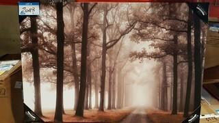 Misty Forest - 24" x 36" 