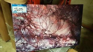 Water Droplets - Up close Print - 16" x 24" 