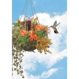 Perky Pet Basket Planter Hummingbird Feeder (JSN1056)