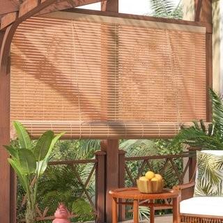 Lot 3 pcs - 48" x 72" - Espresso - Beachcrest Home Outdoor Roller Shade (BCHH9174_23578198_23578206)
