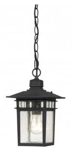 Nuvo Lighting Hanging Lantern Black/Ckear 60-4956