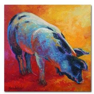Trademark Fine Art 'Pig' Print on Wrapped Canvas (HYT82090_24038616) 35" square