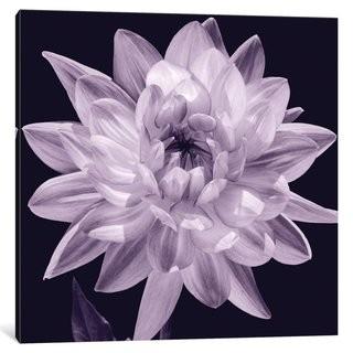 Willa Arlo Interiors 'White Dahlia I' Graphic Art Print on Canvas (WLAO3293_24113948) - 37" Square