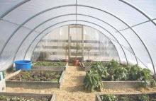 Nursery Clear - 6mm - Greenhouse Film - Approx - 20'x100' 
