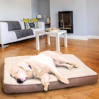 Archie & Oscar Erin Pet Bed (AOSC1569_31178427_31178432)- Blk - Medium