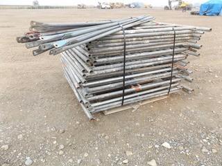 Lot of Assorted Scaffold