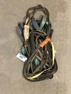 Lot of Asst. Straps