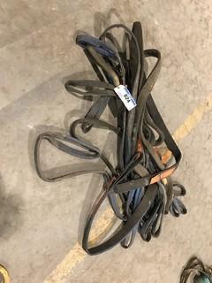 Lot of Asst. Straps