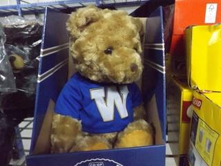 Winnipeg Blue Bombers Game Day Touchdown Teddy.