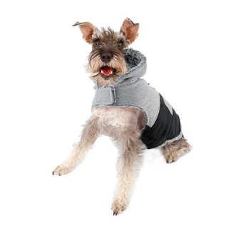 Friends Forever Dog Hoodie with Toggle Collection