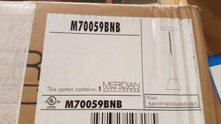 Meridian Lite Trends - M70059BNB - Hanging Light - Blk /Natural Brass