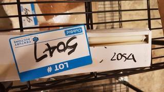 10 Inch Taper Candles  - Cream