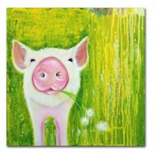 Trademark Fine Art 'Pig' Print on Wrapped Canvas (HYT82090_24038616) 35" square