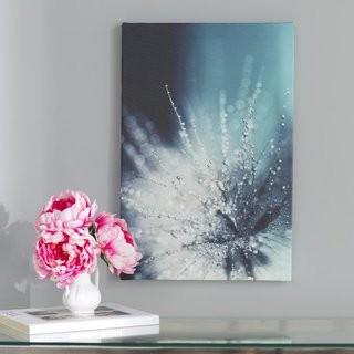 Willa Arlo Interiors 'Morning Sonata' Photo Graphic Print on Canvas (WRLO6743_22800897) - 24" x 16"
