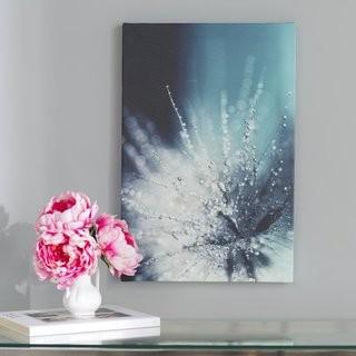 Willa Arlo Interiors 'Morning Sonata' Photo Graphic Print on Canvas (WRLO6743_22800897) - 24" x 16" 