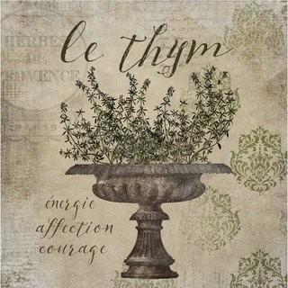 Buy Art For Less 'French Herbs Thyme' by Beth Albert Graphic Art on Canvas (BYAR1365_16568970) - 24" Square