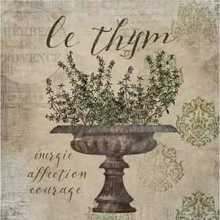 Buy Art For Less 'French Herbs Thyme' by Beth Albert Graphic Art on Canvas (BYAR1365_16568970) - 24"  Square